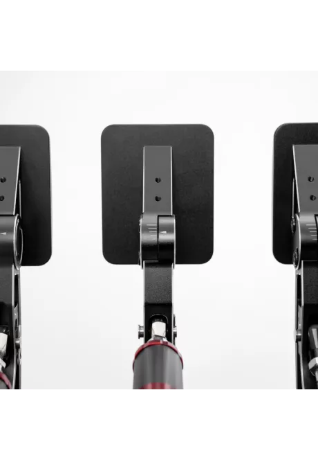 Simagic P1000