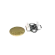 Dual Clutch module with BPP
