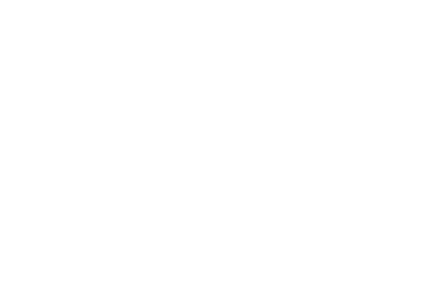 Vonger VoCore