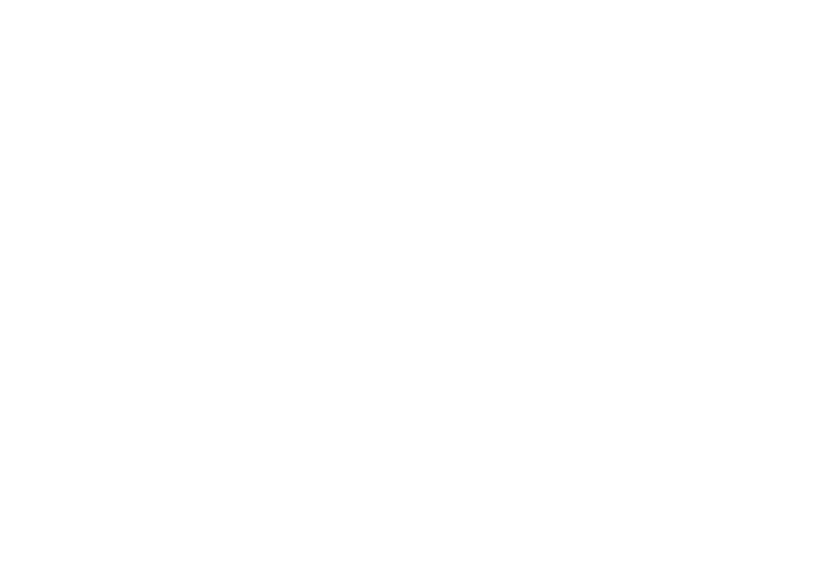 Leo Bodnar