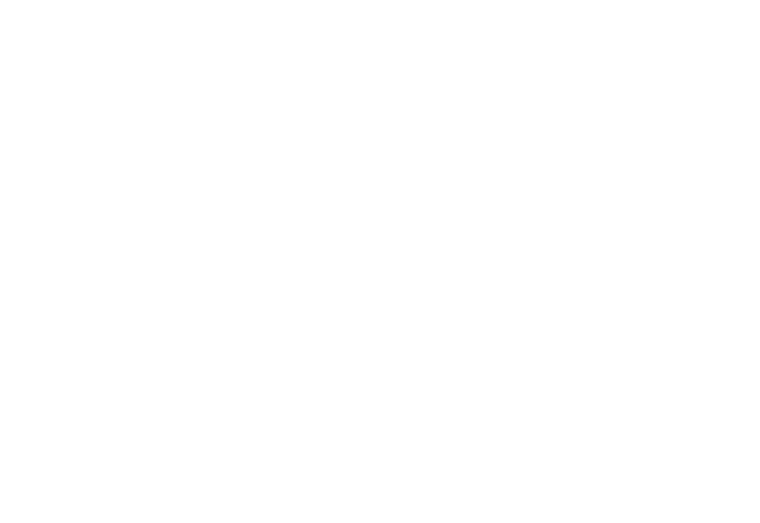 SimNet